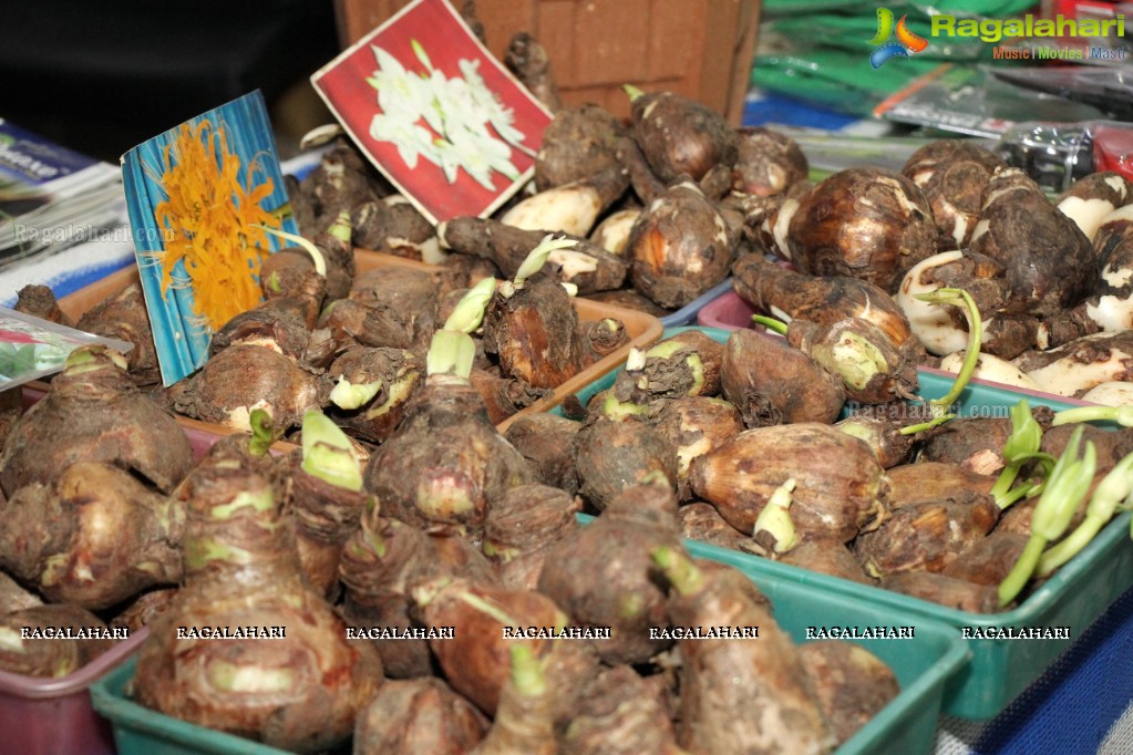 Agritex 2016 Exhibition at HITEX