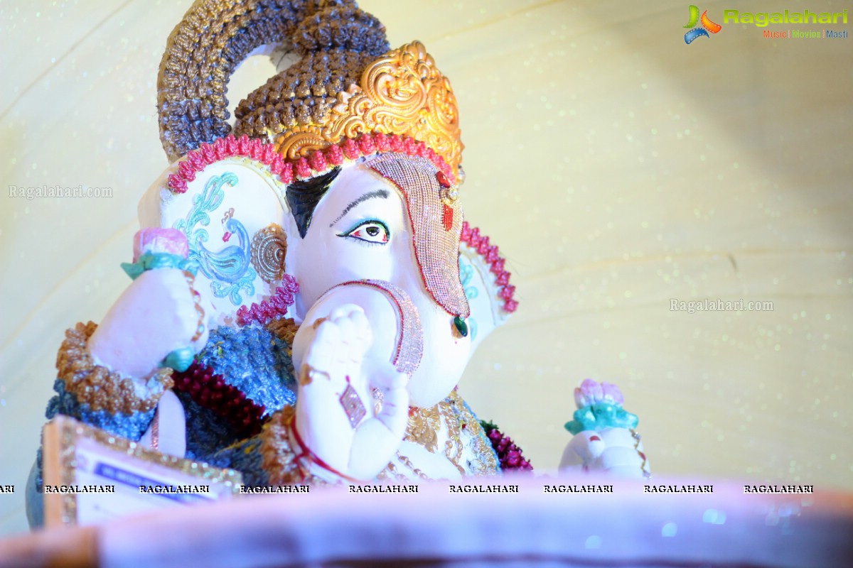 Ganesh Visarjan 2016, Hyderabad (Set 2)