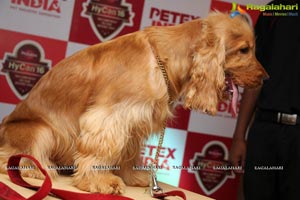 PETEX 2016 Curtain Raiser