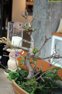 Ikebana International