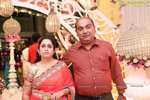 Jayesh Mulani-Sonu Khitri Wedding Reception