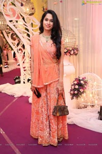 Jayesh Mulani-Sonu Khitri Wedding Reception