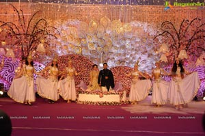 Jayesh Mulani-Sonu Khitri Wedding Reception