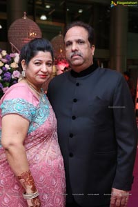 Jayesh Mulani-Sonu Khitri Wedding Reception