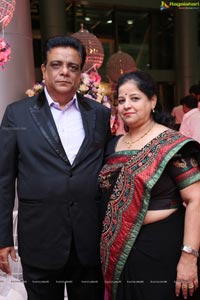 Jayesh Mulani-Sonu Khitri Wedding Reception