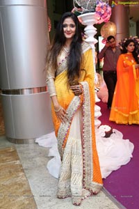 Jayesh Mulani-Sonu Khitri Wedding Reception