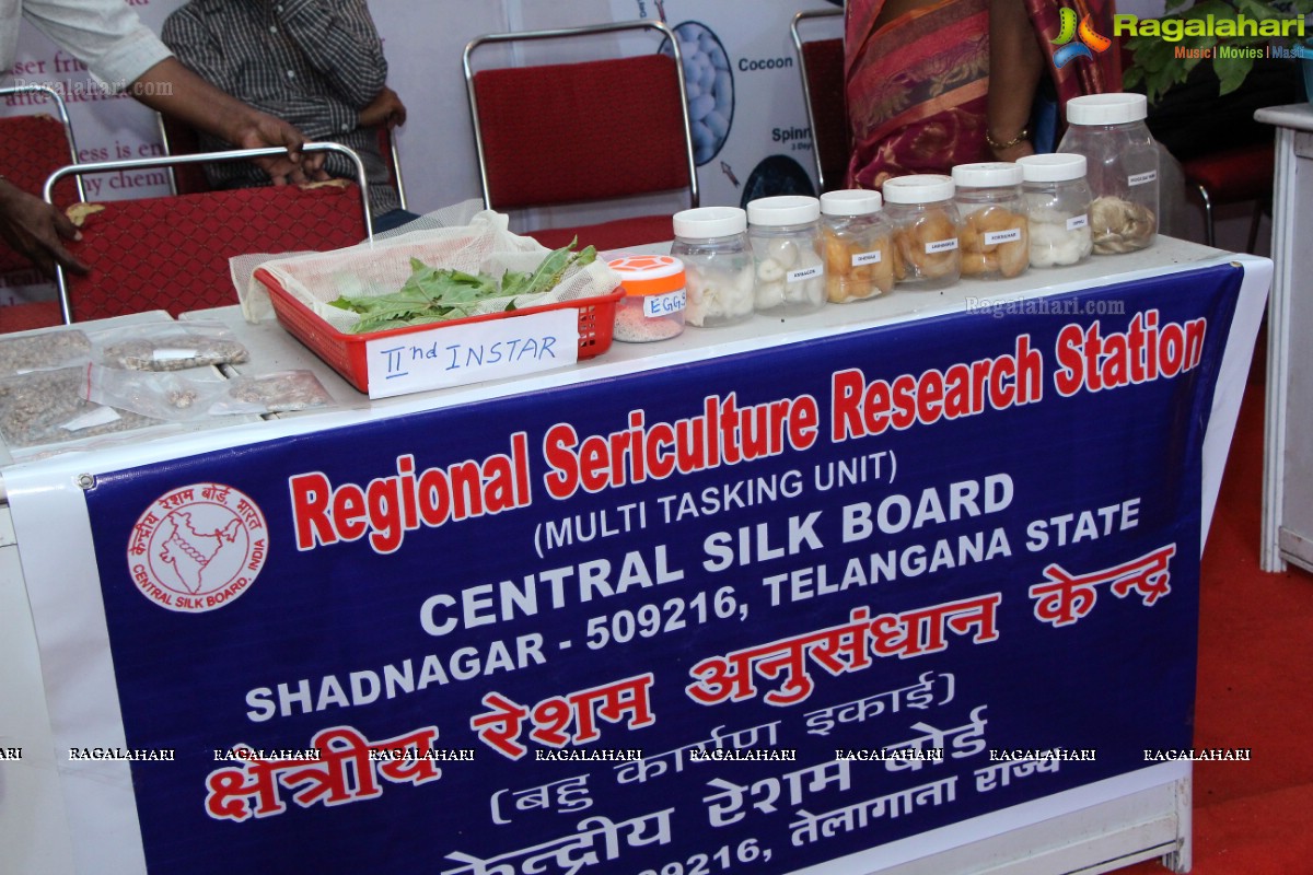 Silk Mark Expo 2016 at Sri Satya Sai Nigamaagamam