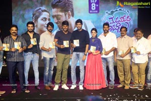 Meda Meeda Abbayi Pre Release Function