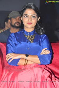 Meda Meeda Abbayi Pre Release Function