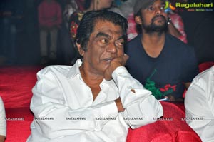 Meda Meeda Abbayi Pre Release Function