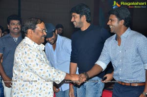 Meda Meeda Abbayi Pre Release Function