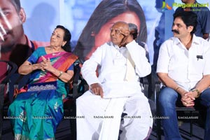 Pelli Roju Audio Release