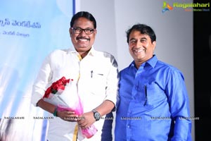 Pelli Roju Audio Release