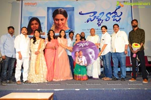 Pelli Roju Audio Release