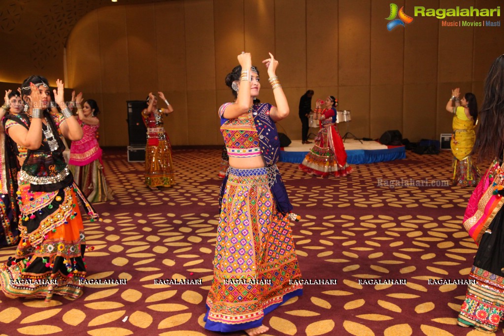 Garba Party by Bina Mehta at The Park