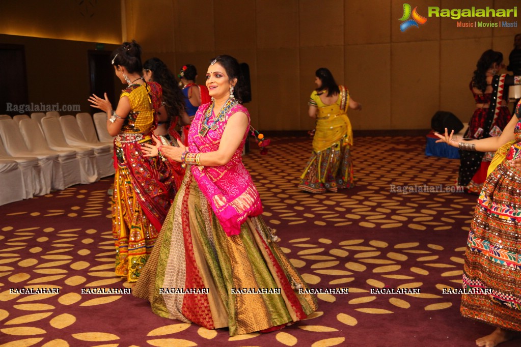 Garba Party by Bina Mehta at The Park