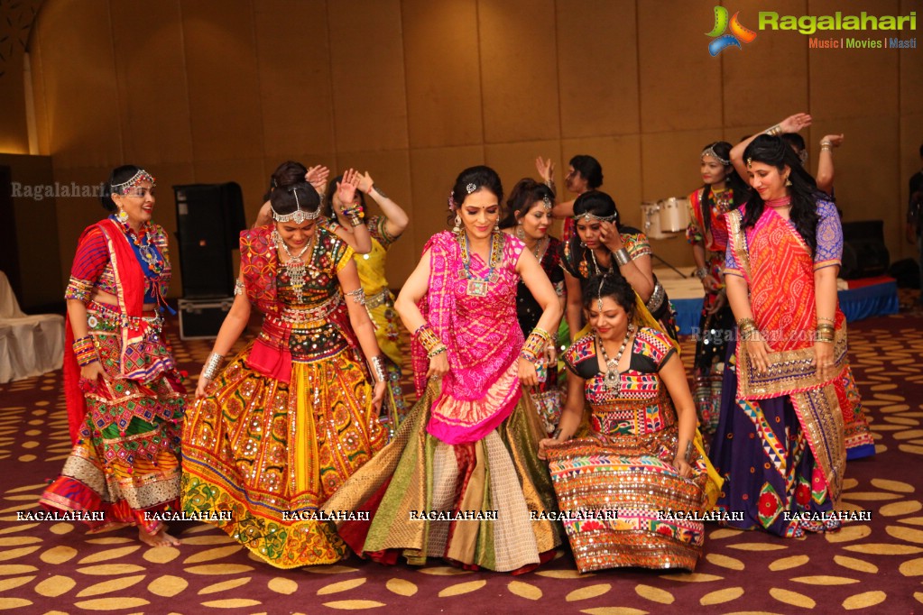 Garba Party by Bina Mehta at The Park