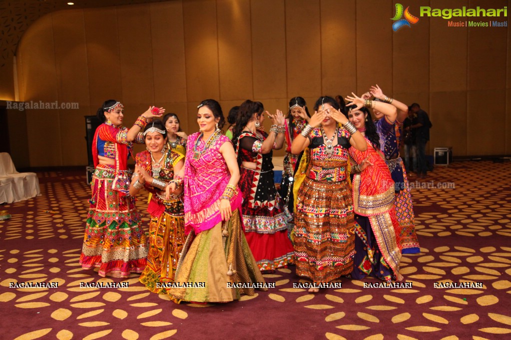 Garba Party by Bina Mehta at The Park