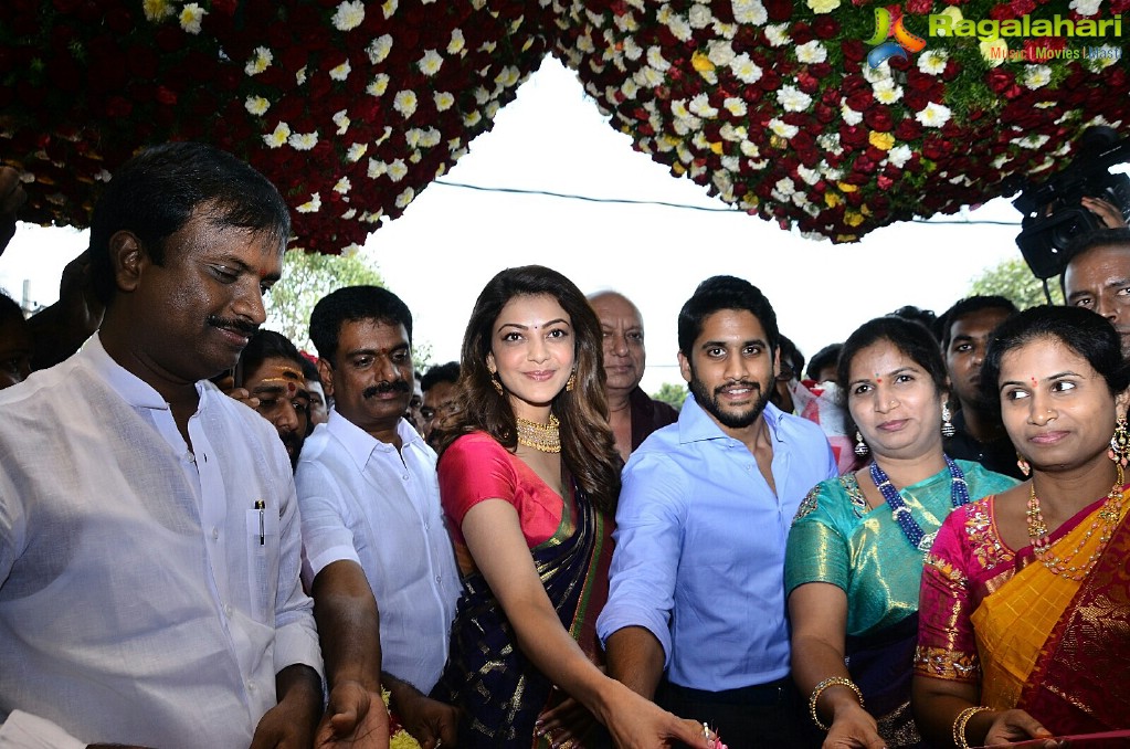 Naga Chaitanya-Kajal Aggarwal launches Chennai Shopping Mall at Kompally