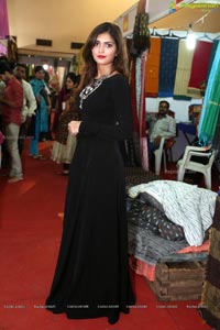 Kala Silk Handloom Expo Launch