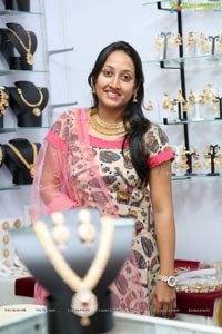 Vastra Vibha Exhibition