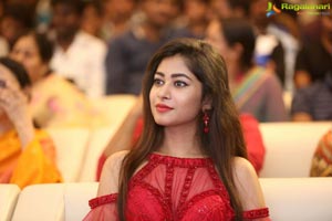 Nannu Dochukundhuvate Pre-Release Event