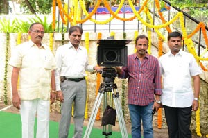 Nuvvakkada Nenikkada Muhurat