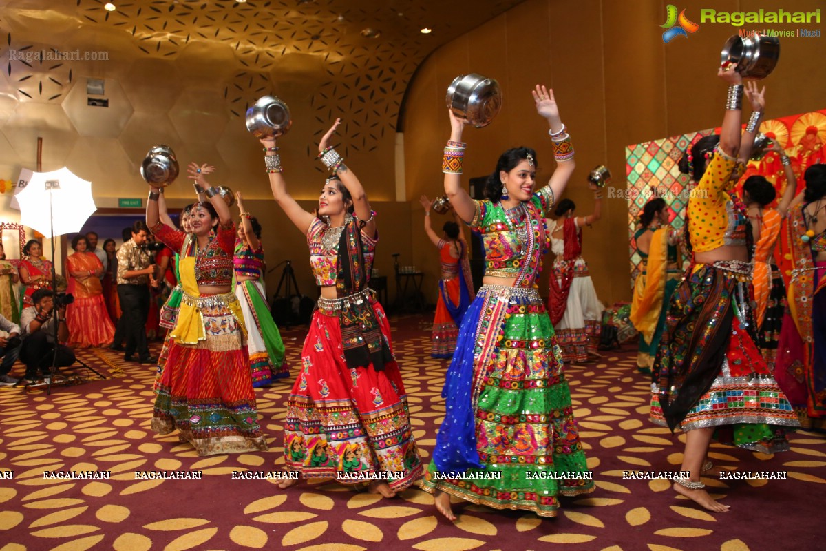 The Dhol and Music Garba Party by Bina Mehta at The Park