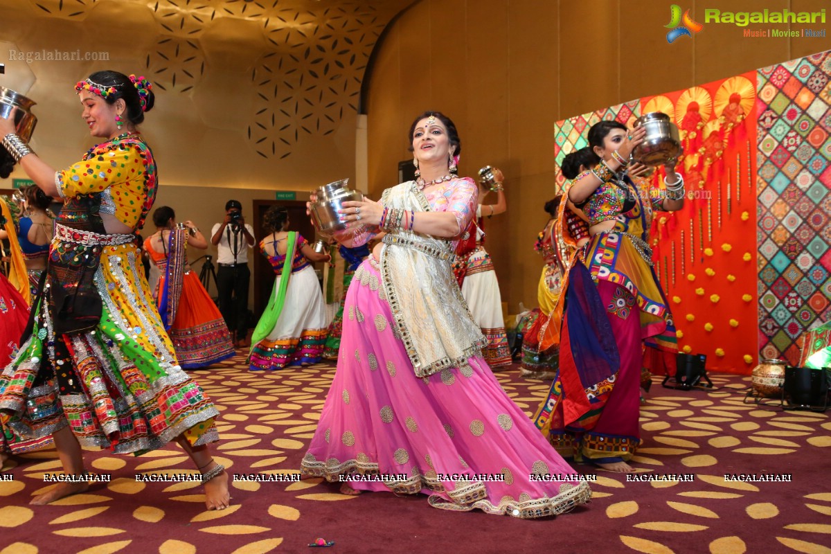 The Dhol and Music Garba Party by Bina Mehta at The Park