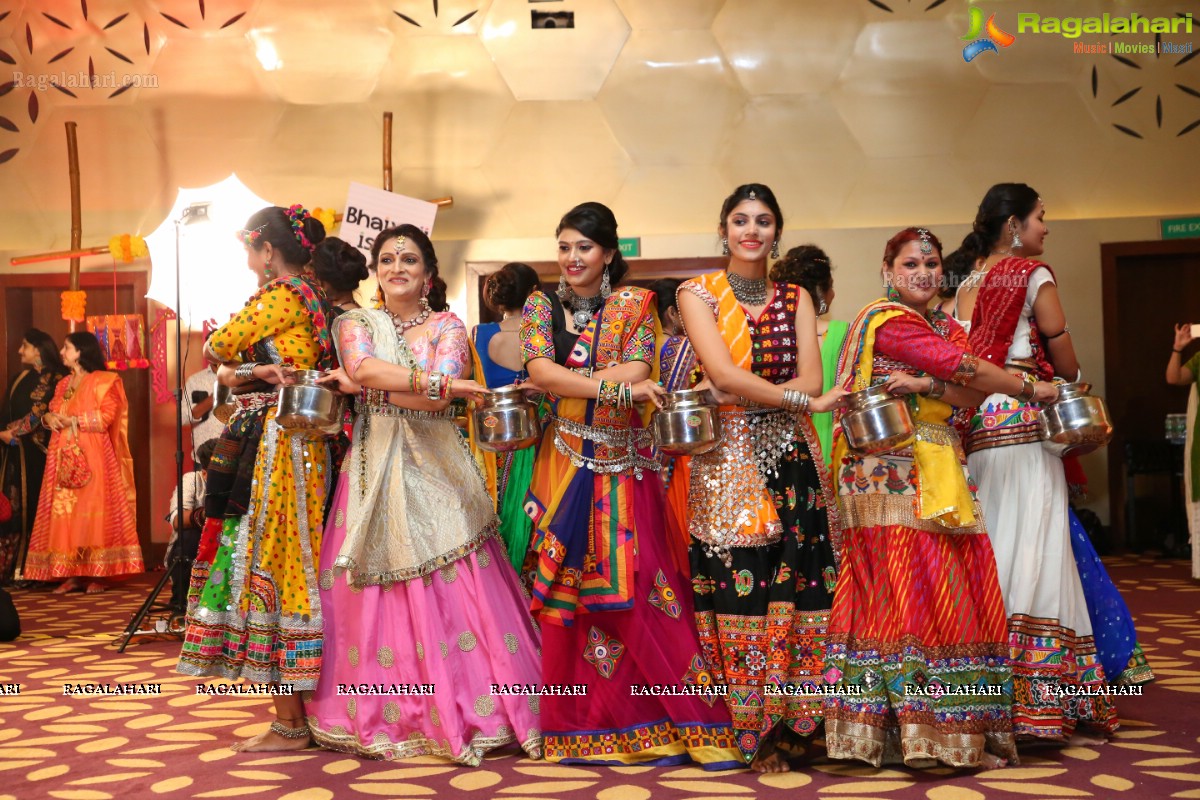 The Dhol and Music Garba Party by Bina Mehta at The Park