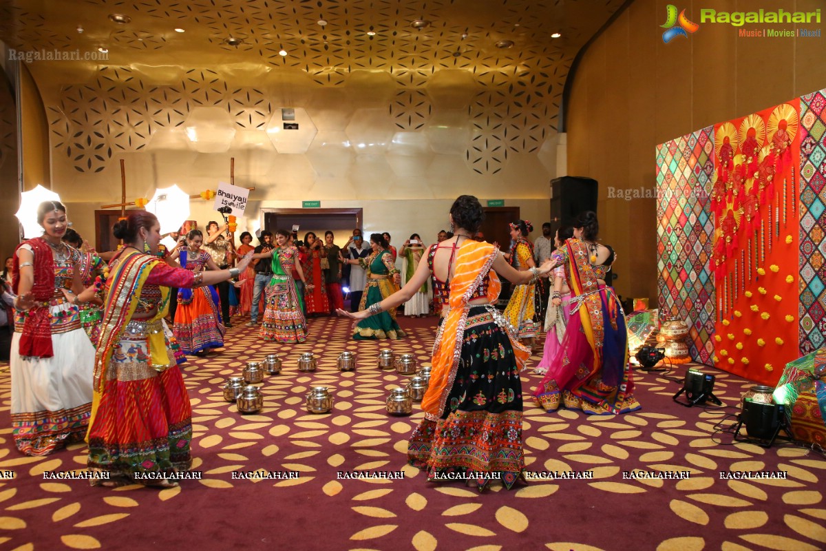 The Dhol and Music Garba Party by Bina Mehta at The Park