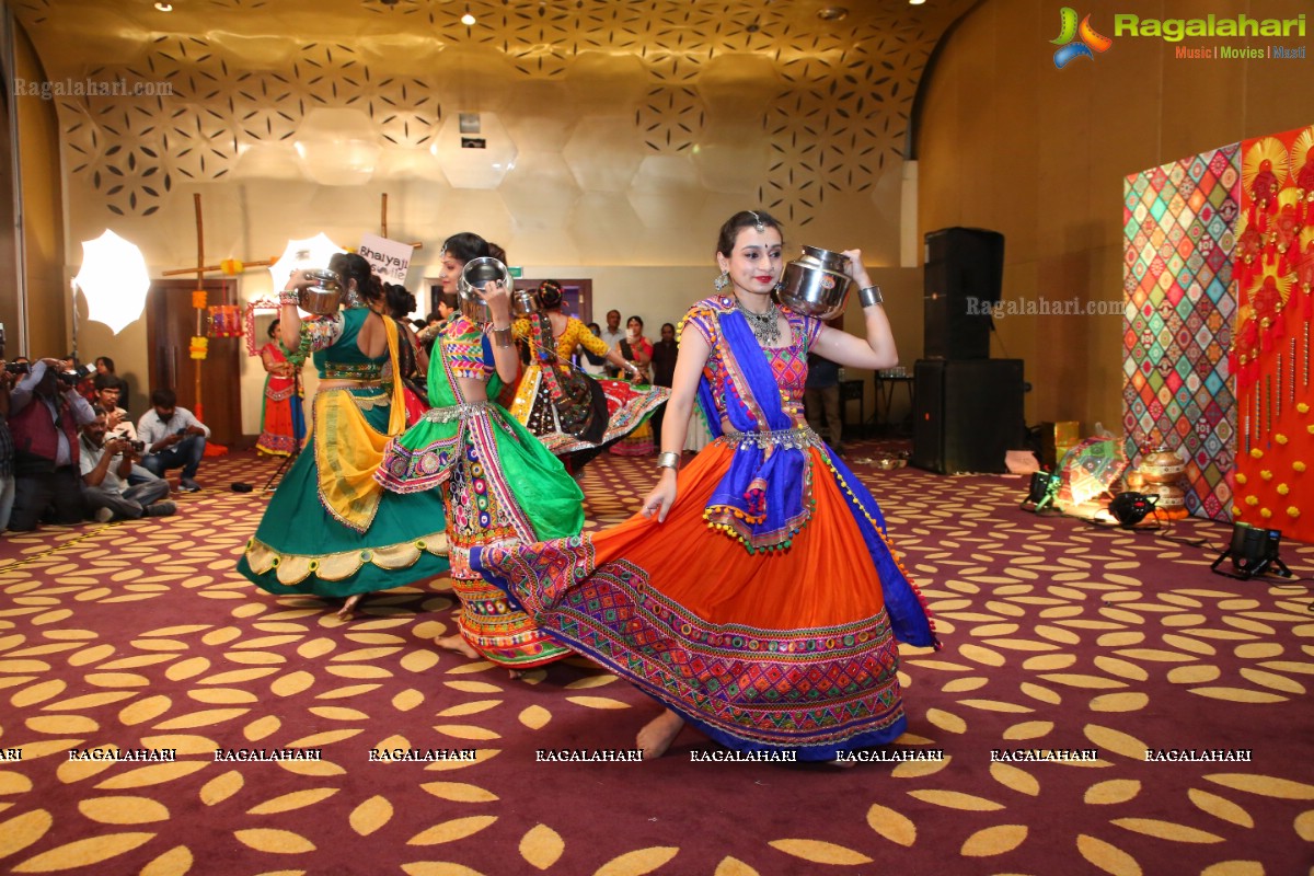 The Dhol and Music Garba Party by Bina Mehta at The Park