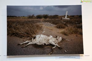 Indian Photography Festival 2018