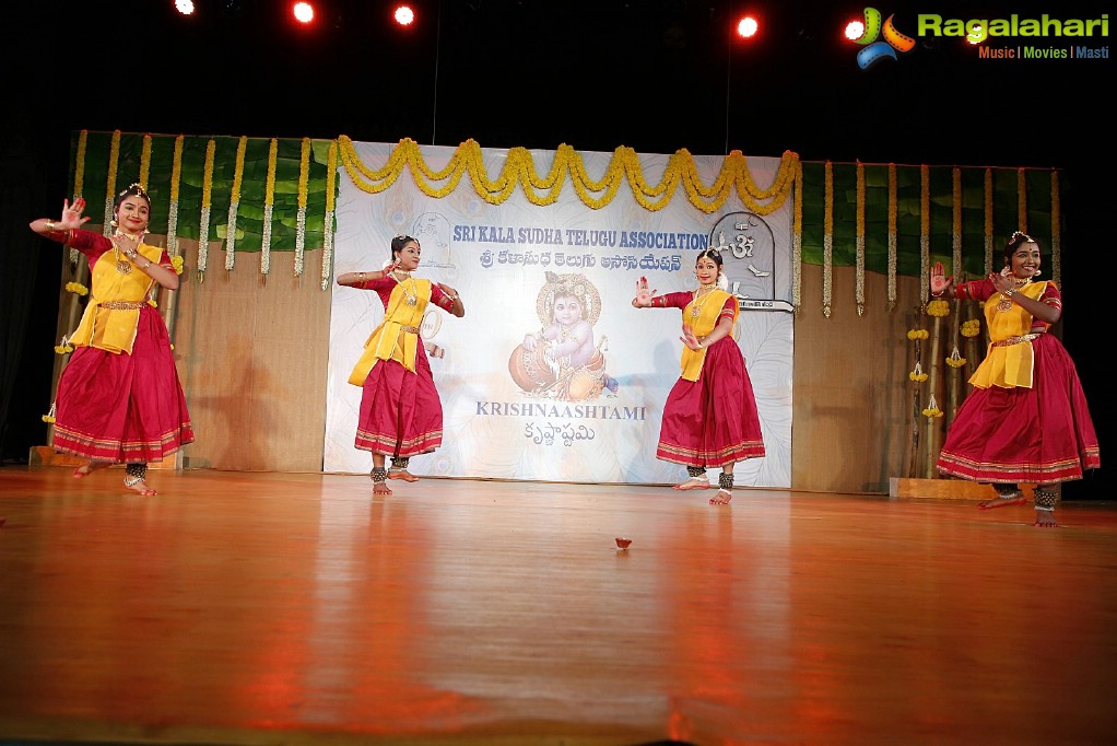 Sri Kala Sudha Telugu Association 20th Anniversary Celebrations at Music Academy, Chennai