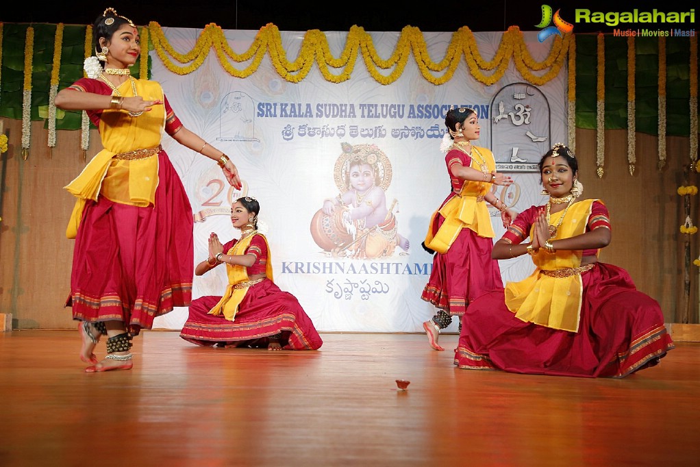 Sri Kala Sudha Telugu Association 20th Anniversary Celebrations at Music Academy, Chennai