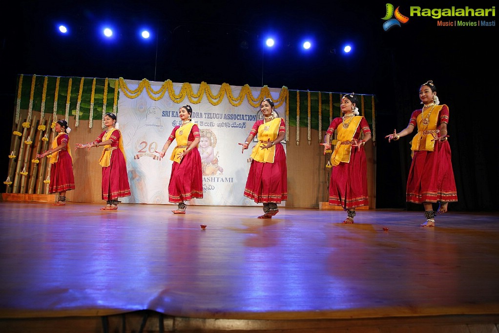 Sri Kala Sudha Telugu Association 20th Anniversary Celebrations at Music Academy, Chennai