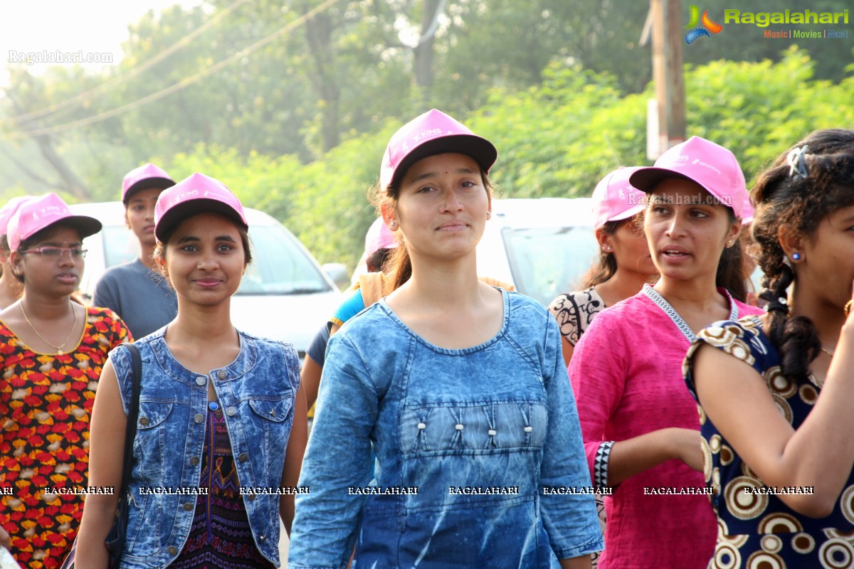 PV Sindhu Flags Off 2k Pink Ribbon Walk -2018 at KBR Park