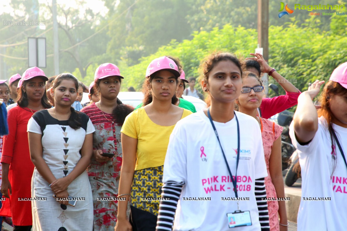 PV Sindhu Flags Off 2k Pink Ribbon Walk -2018 at KBR Park