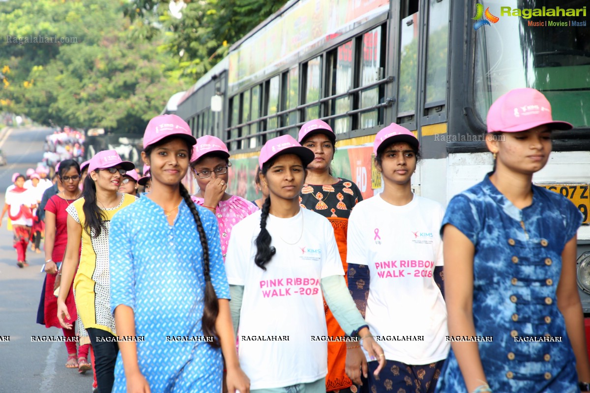 PV Sindhu Flags Off 2k Pink Ribbon Walk -2018 at KBR Park