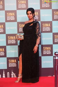 SIIMA 2018 Day 1