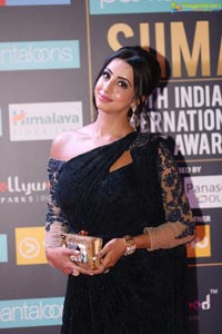 SIIMA 2018 Day 1