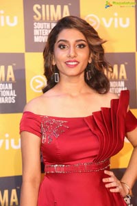 SIIMA 2018 Day 1