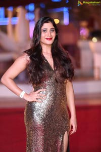 SIIMA 2018 Day 1