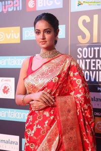 SIIMA 2018 Day 1