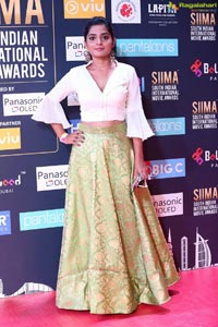 SIIMA 2018 Day 1