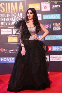 SIIMA 2018 Day 1