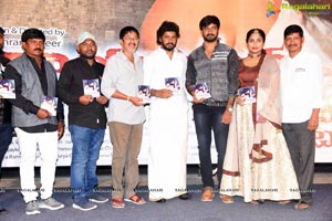 Rayalaseema Love Story Audio Launch