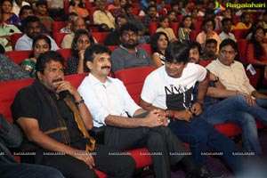 Valmiki Pre-Release Event