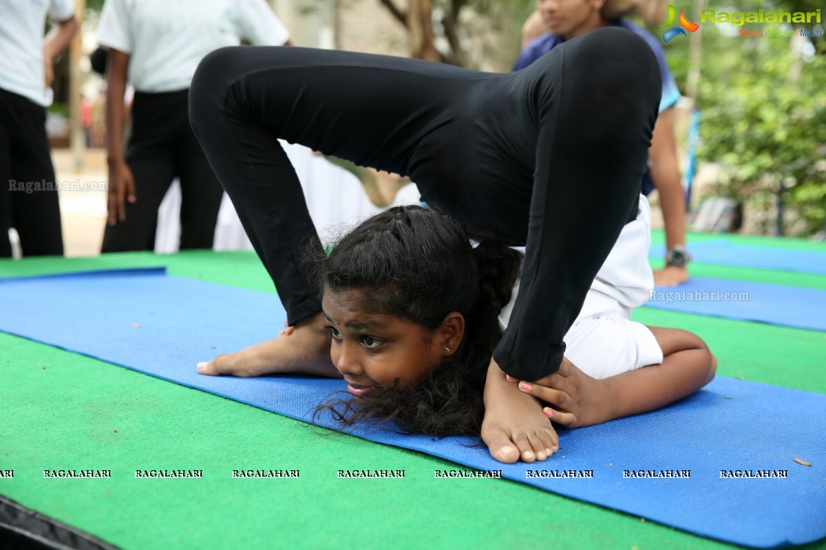 The Hyderabad Public School, Begumpet The School Exhibition 2019