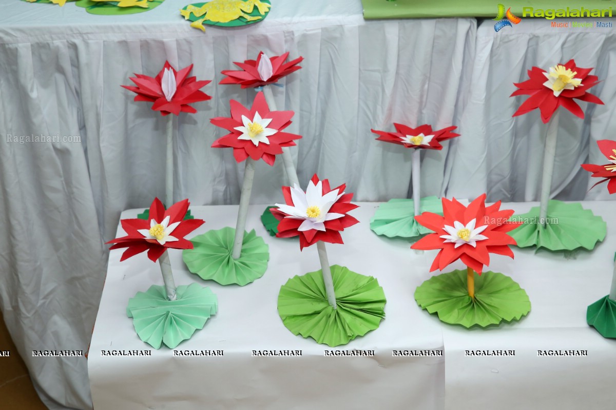 The Hyderabad Public School, Begumpet The School Exhibition 2019